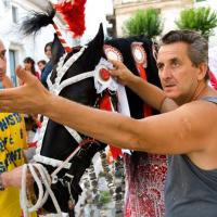 Cavalcata di S. Oronzo-Ostuni/03