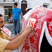 Cavalcata di S. Oronzo-Ostuni/08