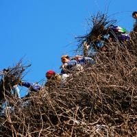 La Fòcara di Novoli/04