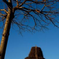 La Fòcara di Novoli/09